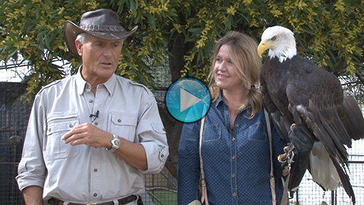 Jack Hanna and Spike at the Emmy Awards